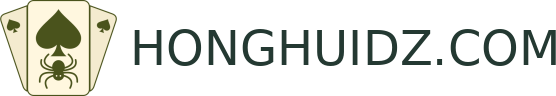 HONGHUIDZ.COM